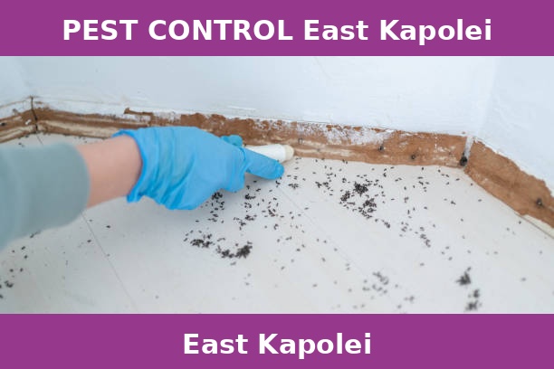 PEST CONTROL East Kapolei